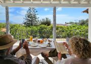 Lemon Nest Lemon Nest