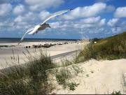 Top Borkum