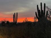 15A Beautiful Brand New 2BR 2BA Condominium Pool