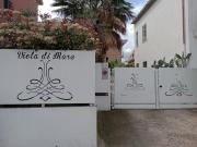 Top Termoli