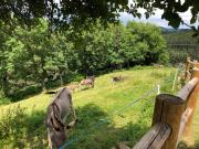 Top Saint-Préjet-dʼAllier