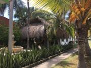 Top Puerto Viejo Top Puerto Viejo