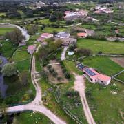 Top Zamora