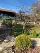 Top Velyka Volosyanka