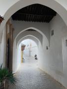 Dar Lalzohra