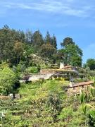 Casinha Serabigoes Arouca Passadiços Paiva Casinha Serabigoes Arouca Passadiços Paiva