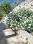 Top Ražanac Top Ražanac