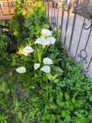 Top Aldeadávila de la Ribera