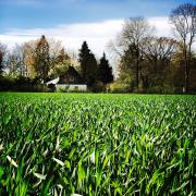 Casa Angres - Lüneburger Heide