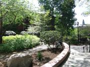 Top Brookline