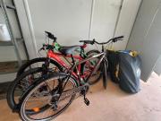 Top Chojnice Top Chojnice