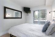 Top Whistler