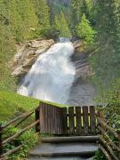 Top Wald im Pinzgau
