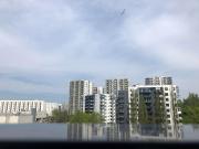 Top Gdańsk Top Gdańsk