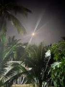 Top Ấp Thiện Sơn