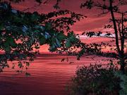 Coco Grove Pension and Beach Resort