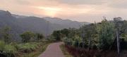 Top Vagamon