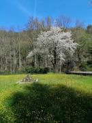 Top Massa Marittima Top Massa Marittima