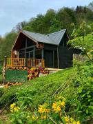 VAESS Villa Dağ Evleri