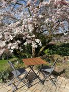 Top Hannoversch Münden