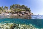 Top La Seyne-sur-Mer