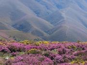 Top São Pedro do Sul Top São Pedro do Sul