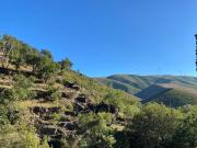 Top São Pedro do Sul