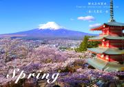 Station Villa Plaisir Mt. Fuji Station Villa Plaisir Mt. Fuji