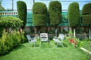 Top Srinagar