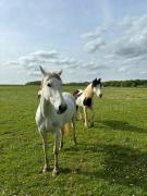 Top Le Val-Saint-Germain