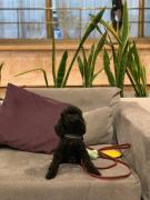 Regente Palace Hotel