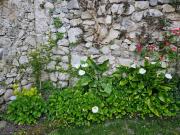 GARDAINN GIARDINO 38a