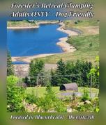 Foresters Retreat Glamping - Dinas View - Vaccinated dogs over the age of 2 are accepted