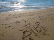 Top Bibione