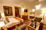 Hotel Bine Manali