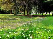 Top Saint-Quentin-sur-le-Homme