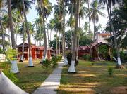 Top Havelock Island