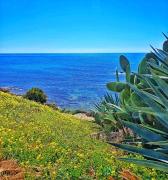 Top Mazara del Vallo