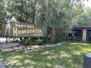 Top Homosassa