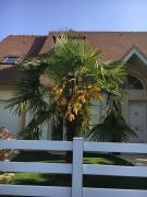 chambre avec entrée indépendante situation idéale