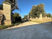 Top Magliano
