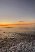 Sea Harmony
