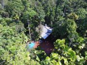 Top Daintree