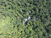 Top Daintree