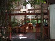 Top Daintree