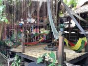 Top Chiang Rai