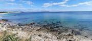 Top Arzon Top Arzon