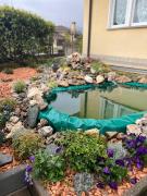 Top Borgo San Dalmazzo