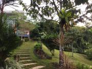 Top Takua Thung Top Takua Thung