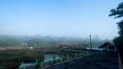Top Wayanad